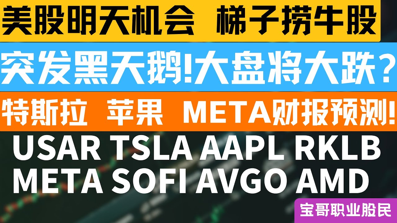 突发黑天鹅!大盘将大跌? 特斯拉 苹果 META财报预测! USAR TSLA AAPL RKLB META SOFI AVGO AMD！01252026 #美股 #股票 #美股分析 #投資