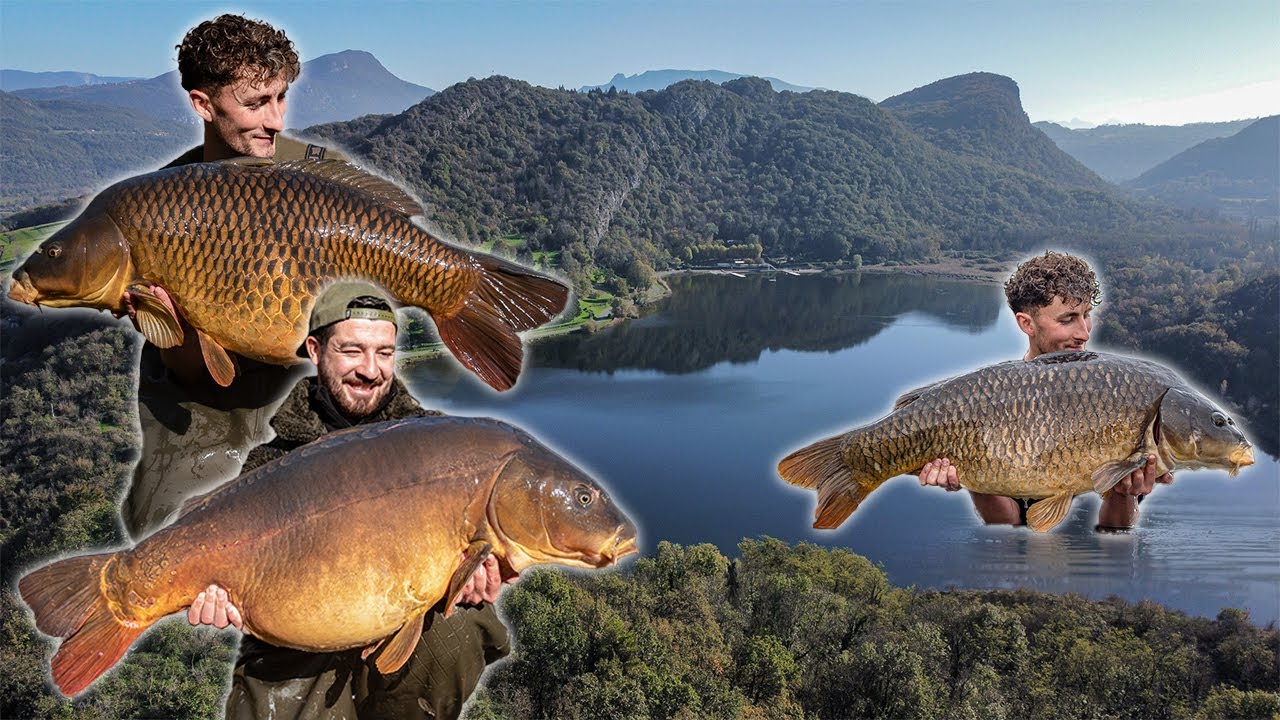 ESCAPING LONDON - A Carp Fishing Adventure! FULL SERIES