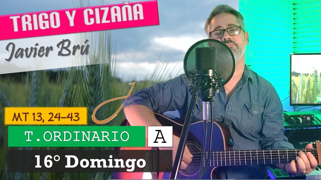 Trigo y Cizaña - Javier Brú | 16° Domingo del T. Ordinario A (Mt 13, 24-43)