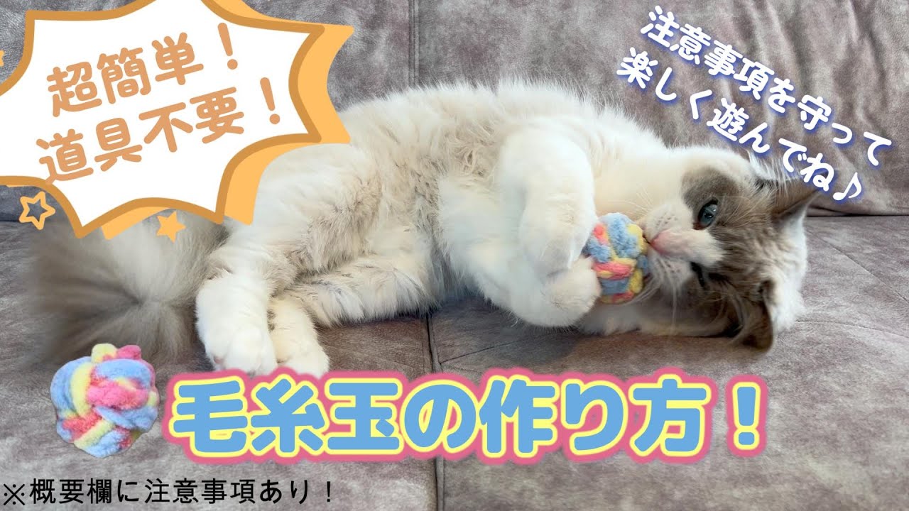 猫のための手作りおもちゃ！道具不要の毛糸玉の作り方解説！ 【概要欄に注意事項あり！】cat toy yarn ball