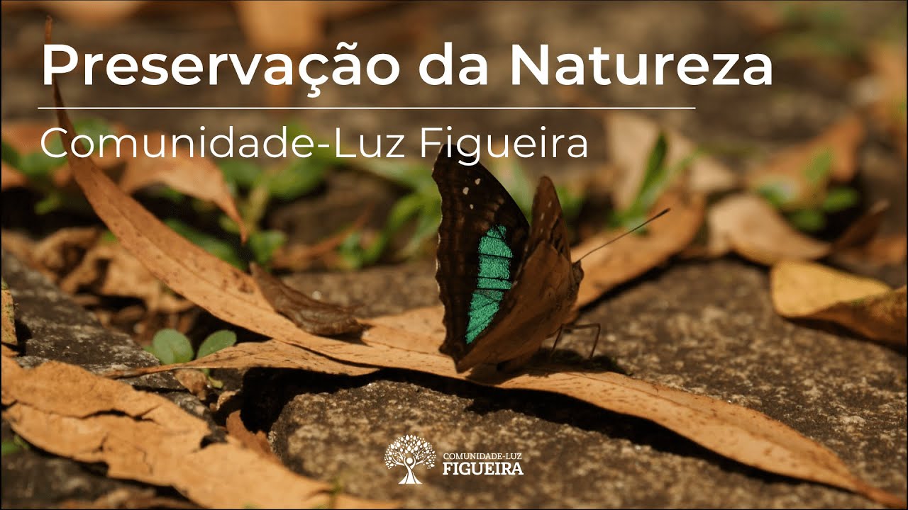 Preservação da Natureza em Comunidade - Luz Figueira