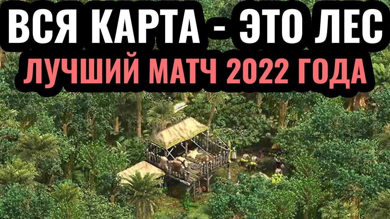 ЛУЧШИЙ Forest Nothing на канале?! Вся карта - это лес в Age of Empires 2 - Пока, 2022 год