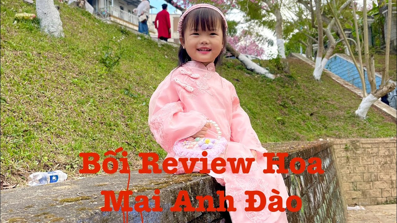 Bé Bối Ngắm Hoa Mai Anh Đào Đà Lạt Tuyệt Đẹp 🌸 Beautiful Cherry Blossom in Vietnam
