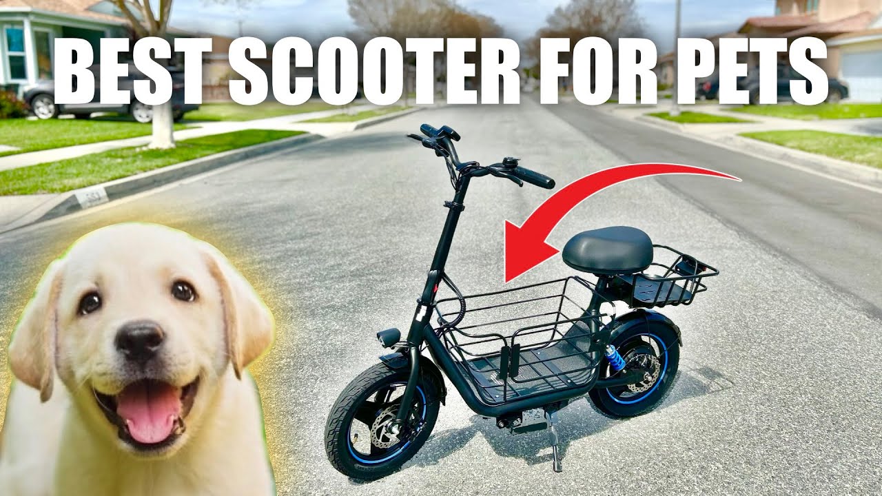 One Amazing FEATURE! - Gyoor C1Plus Electric Scooter For Pets & Cargo Review