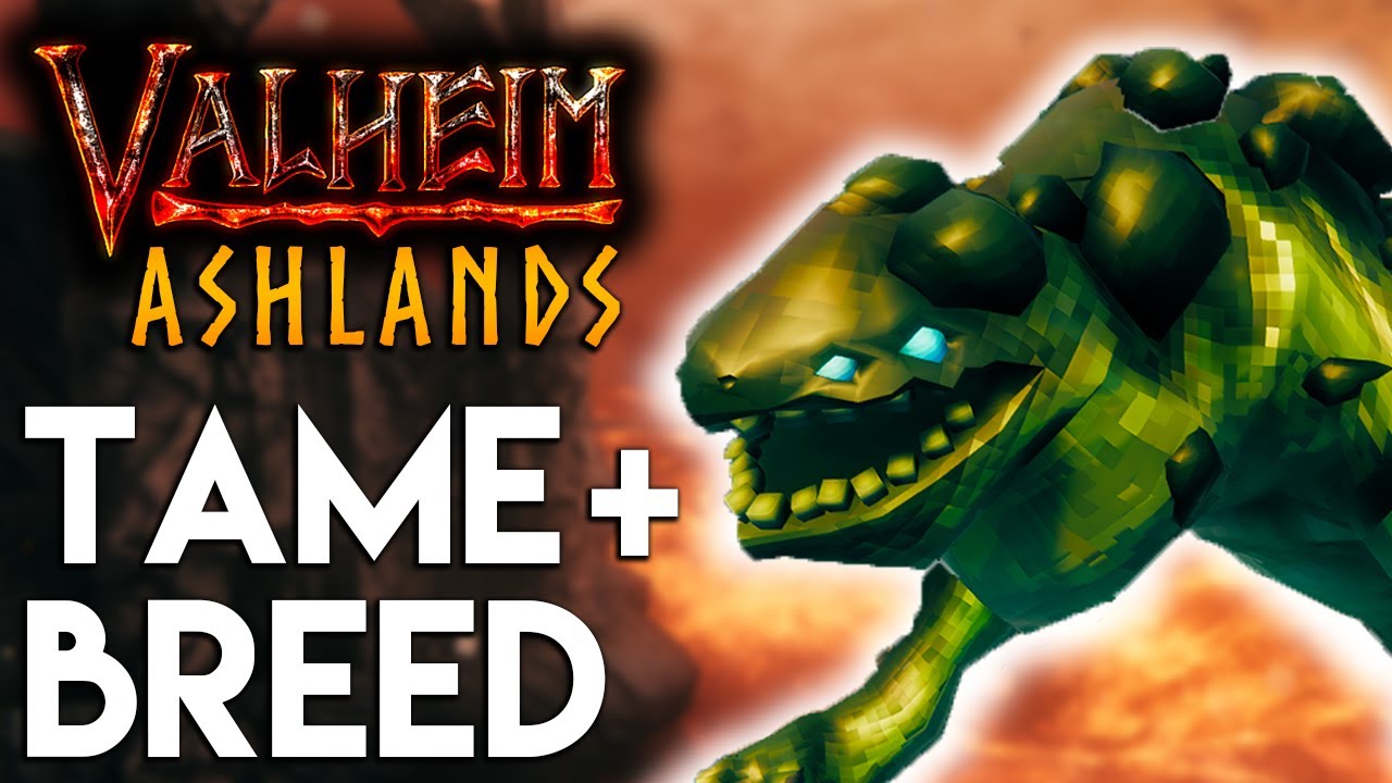 🔥Valheim - Asksvin Tame + Breed Guide