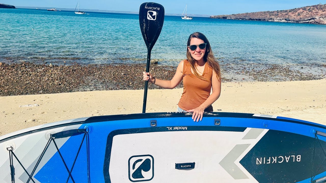 CtW 159 // One Of The Best Things to do in La Paz, Mexico! // Paddling With Sea Lions