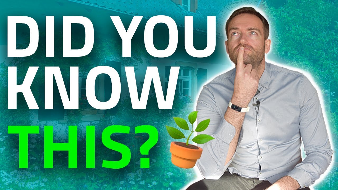 IS OUTSIDE SPACE IMPORTANT? | The HMO Platform