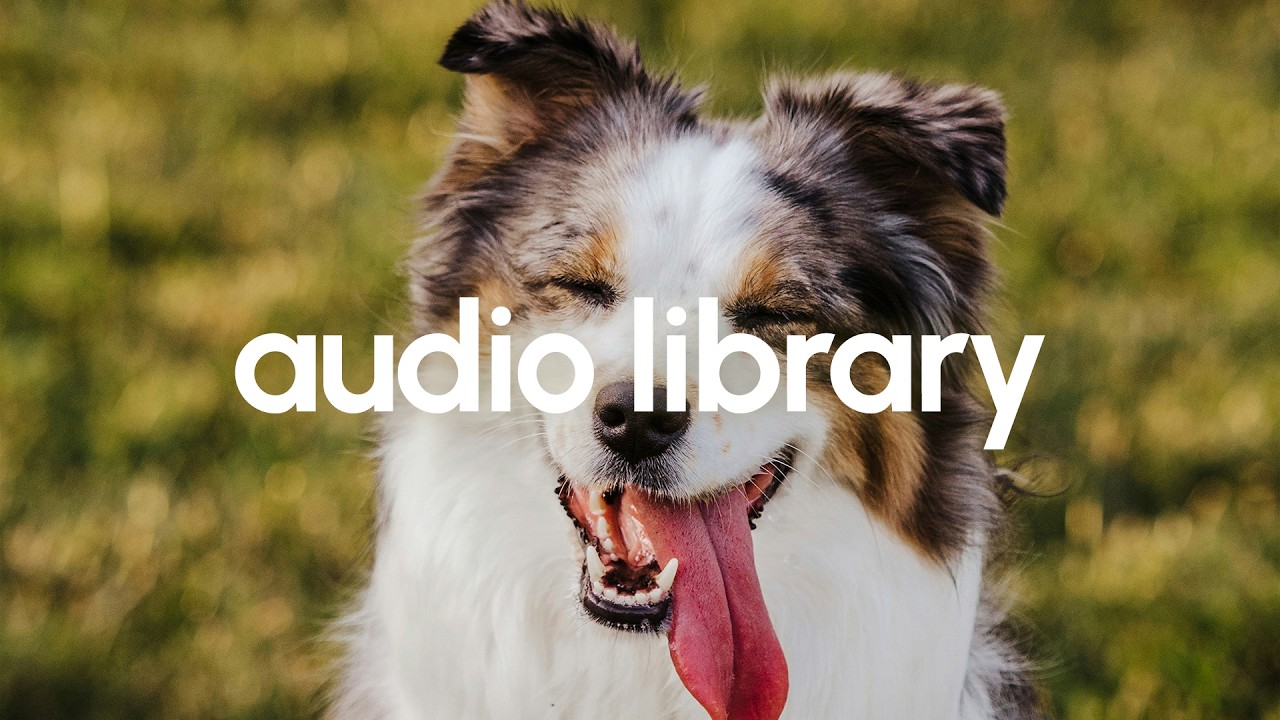 DAILY No Copyright For You &ndash; Advertising by Scandinavianz 🎵