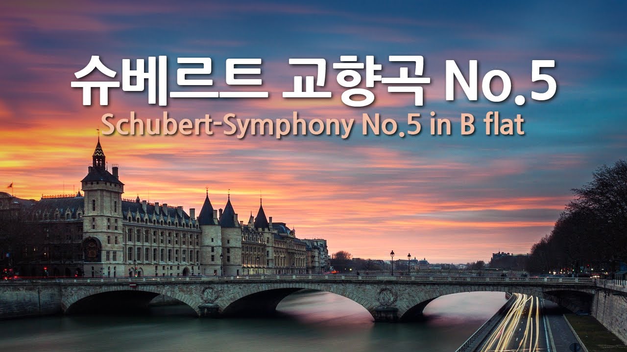 슈베르트 교향곡 No.5 B♭장조 | Schubert-Symphony No.5 in B flat | 빈 필하모닉