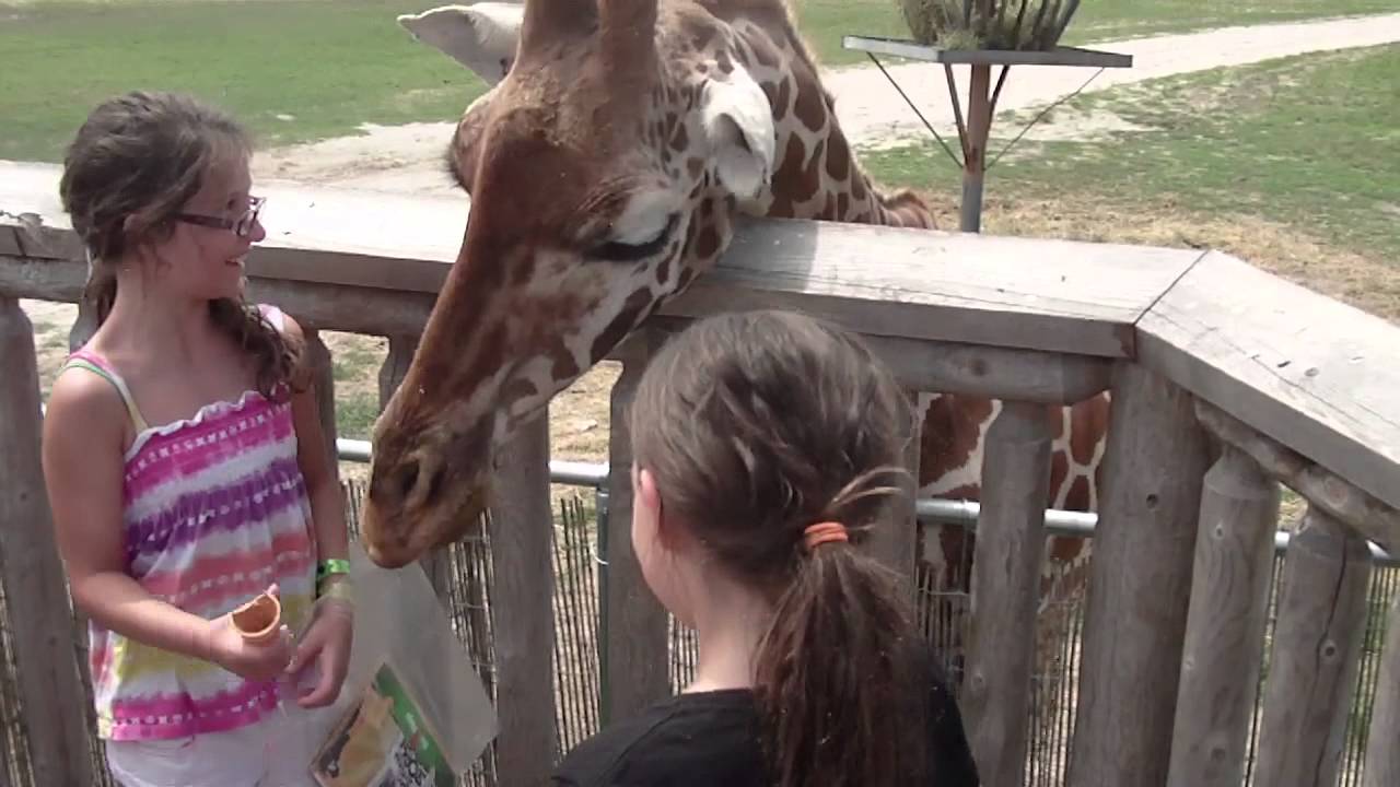 Safari Off Road Adventure: On-Ride POV | Six Flags Great Adventure 2014