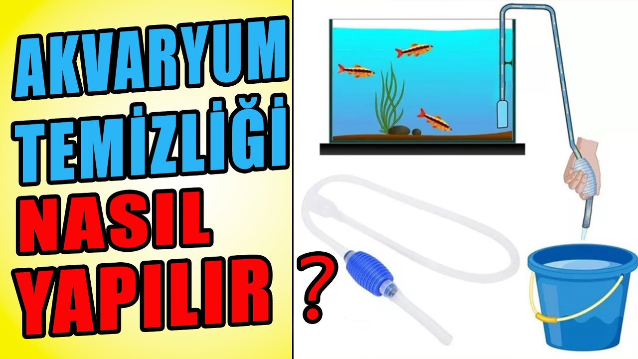 AKVARYUM TEMİZLİĞİ NASIL YAPILIR ? Akvaryum Temizleme -  Akvaryum Kurulumu !