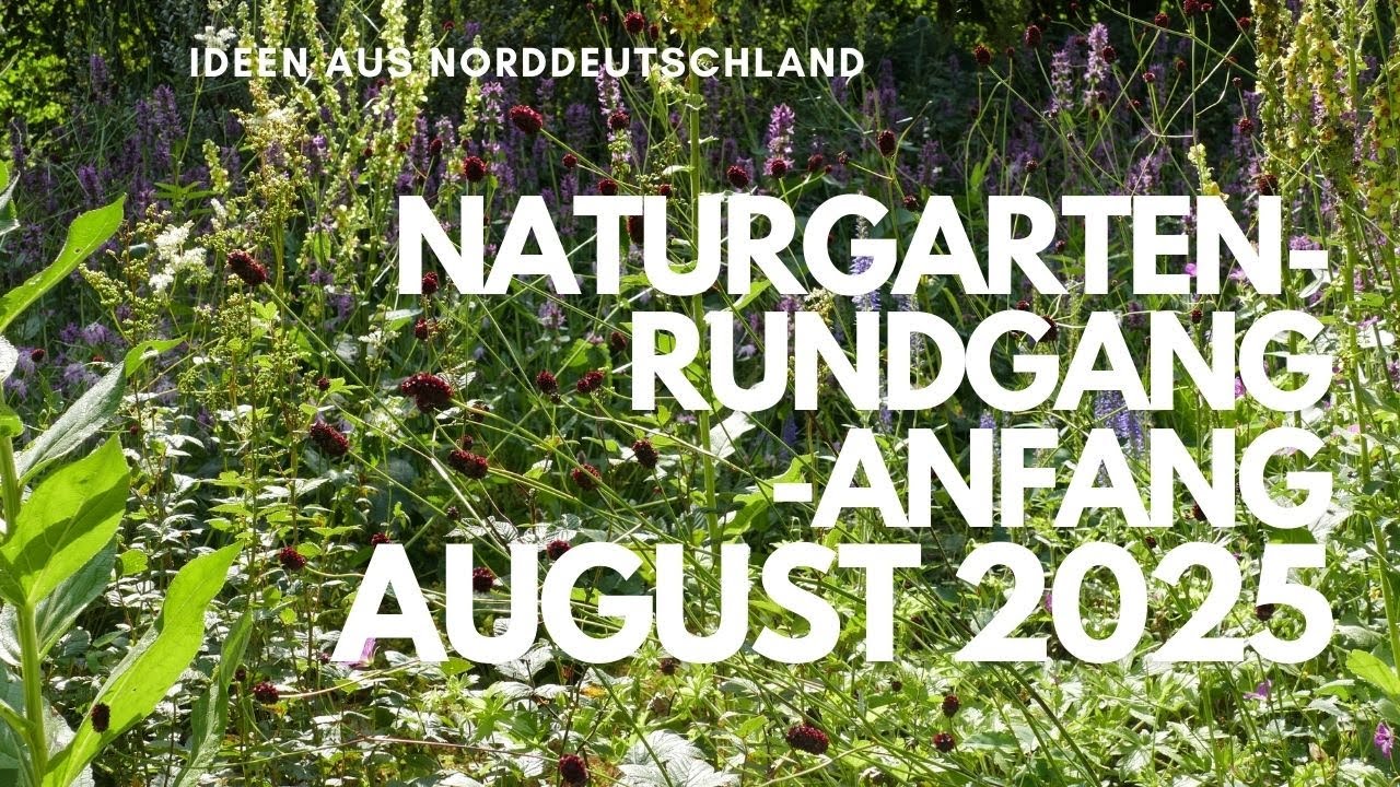 Naturgarten Rundgang Anfang August 25