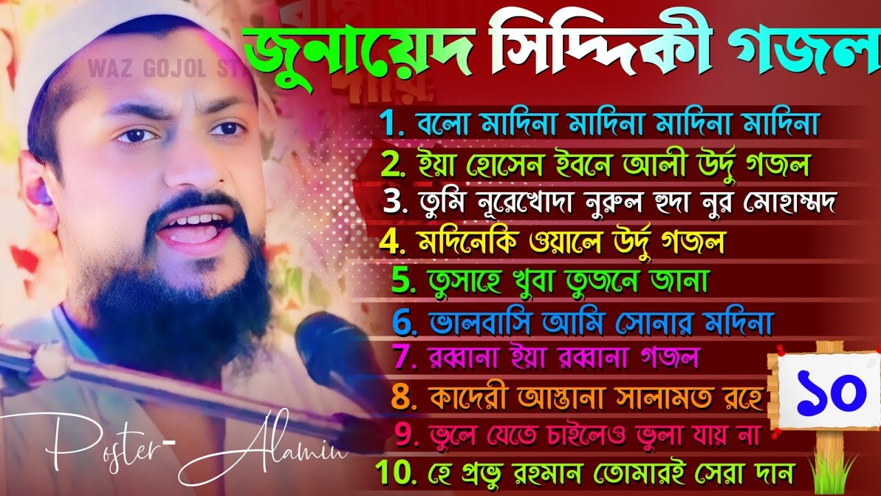 জুনায়েদ সিদ্দিকীর সেরা ১০ টি গজল┇junaid siddiqui gojol┇পীরজাদা জুনায়েদ সিদ্দিকীর গজল┇junaid naat