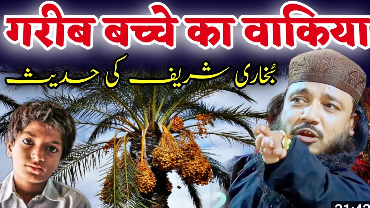 maulana muneer uddin sahib waz / Moniruddin ka jalsa / Muniruddin saheb