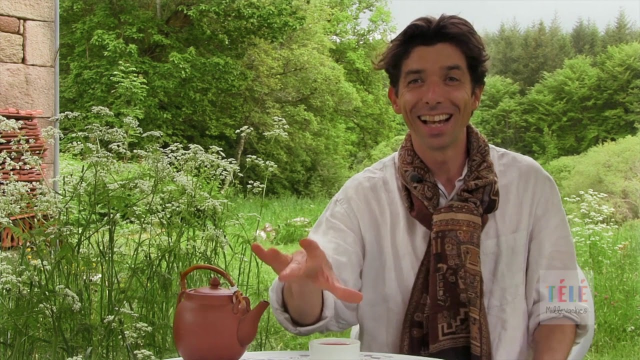 L'herbier du plateau de Millevaches : la monarde