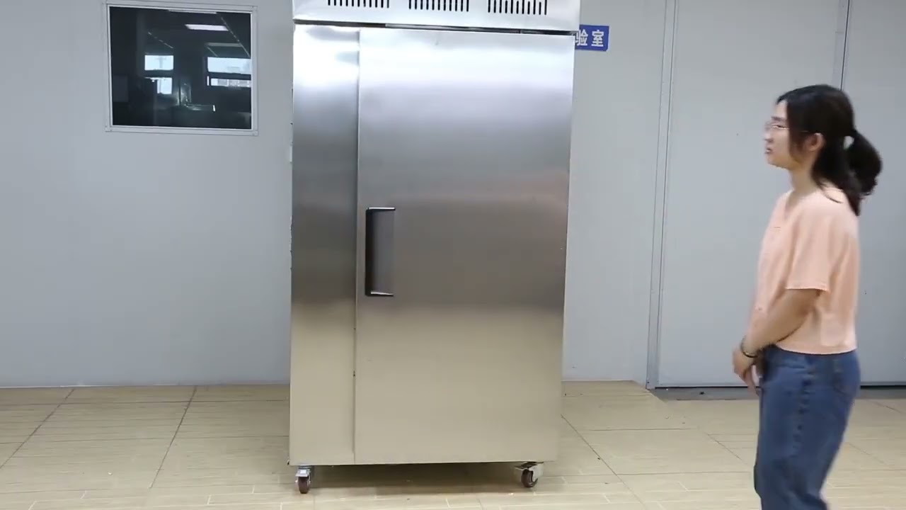 500L Industrial Flash Freeze Food Freezer – Quick Freezing with Core Motor Component