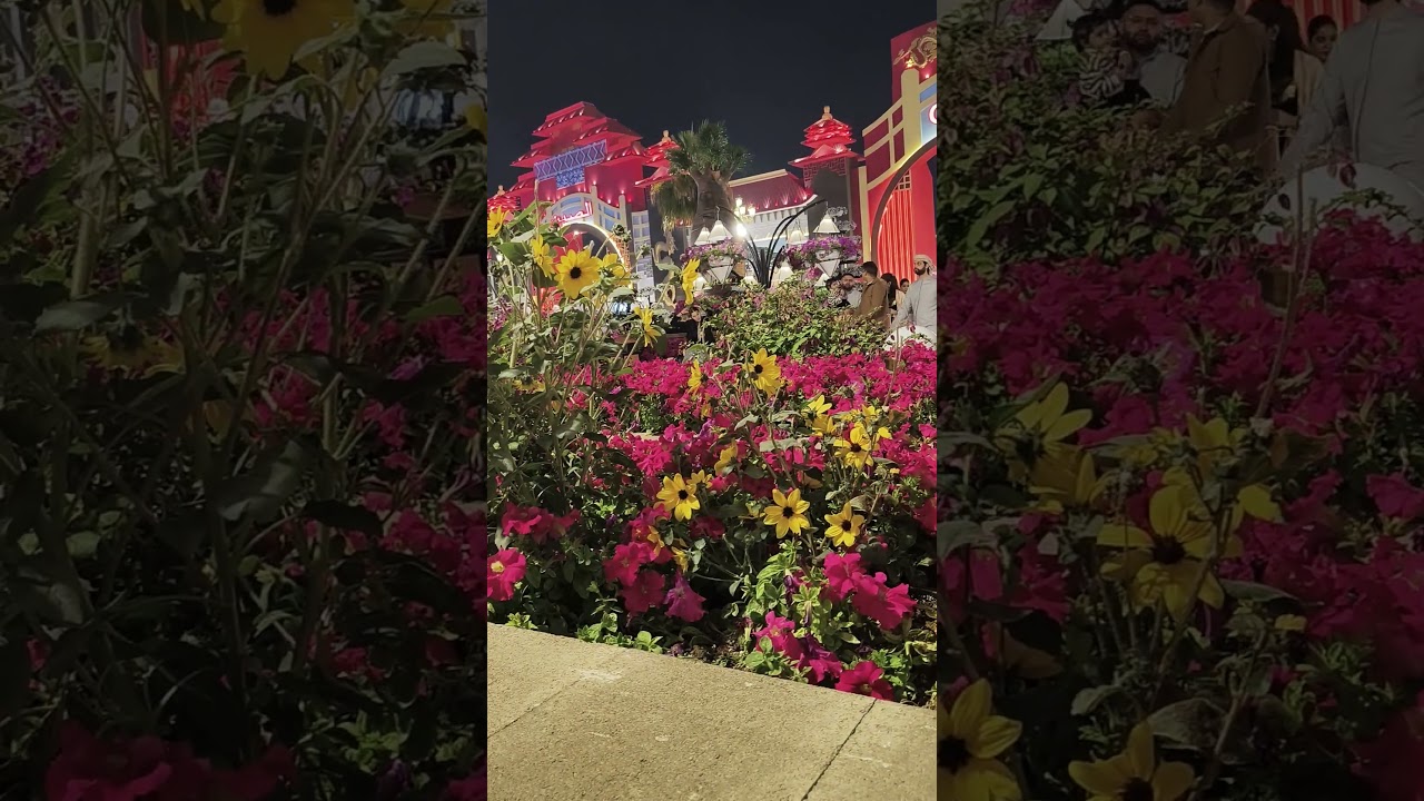 Global village 