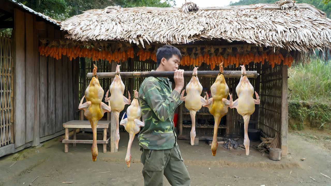Life in the wilderness, reclaiming wasteland, growing vegetables in the wilderness