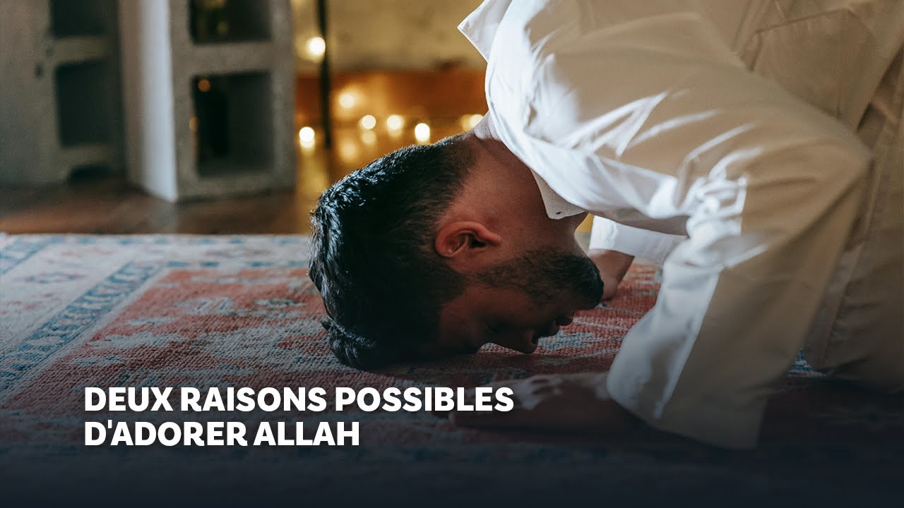 Deux raisons possible d'adorer Allâh