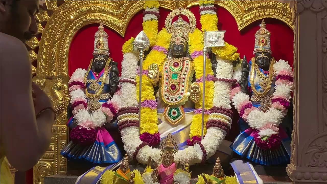 Daily Poojas - Live  Sri Sharadamba Temple, SVBF North, Michigan