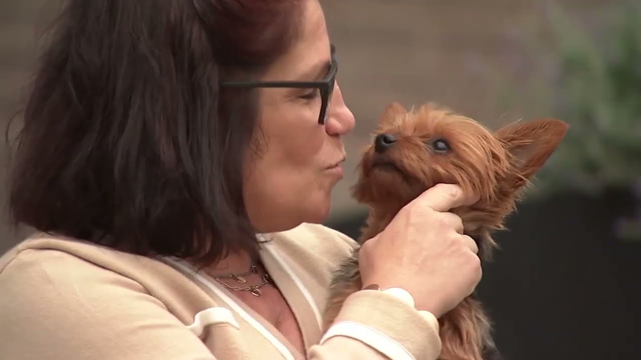 7 On Your Side helps special needs teacher get paid after paychecks stopped