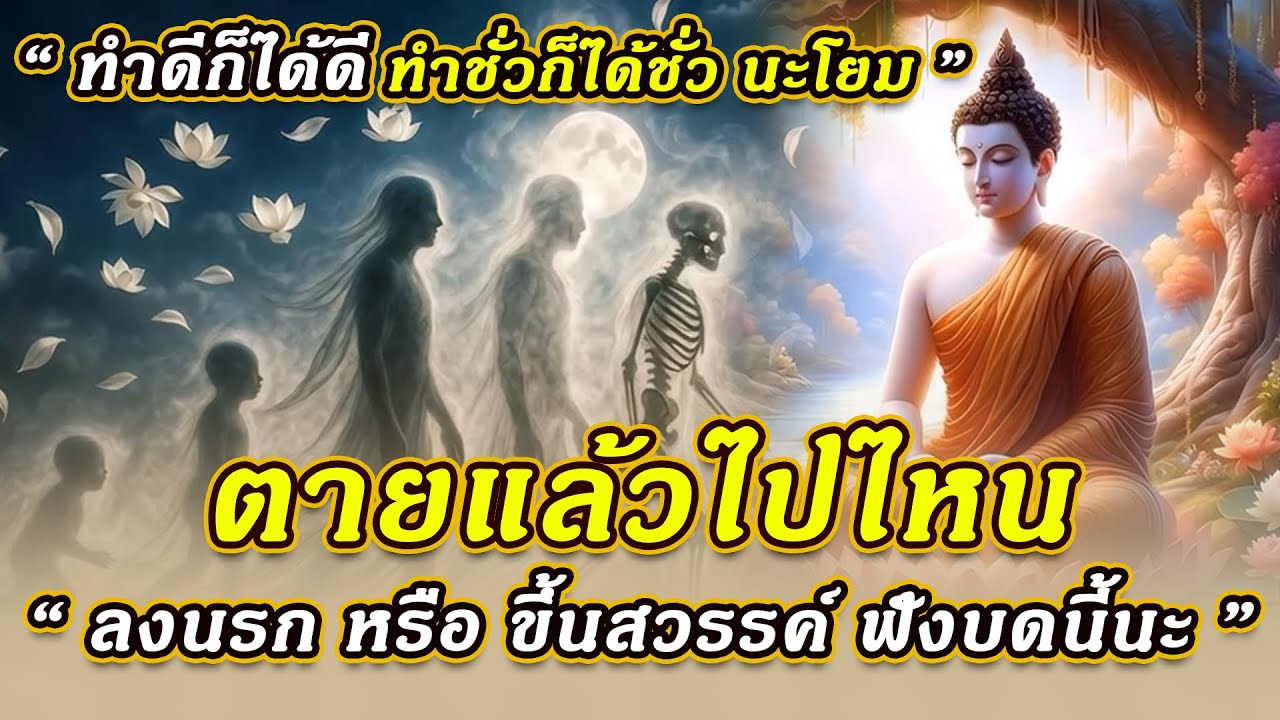 💀 คนเราตายแล้วไปไหน ( นรก หรือ สวรรค์ ) | ความตายคืออะไร #สัจธรรมชีวิต #ฟังธรรม #ตายแล้วไปไหน