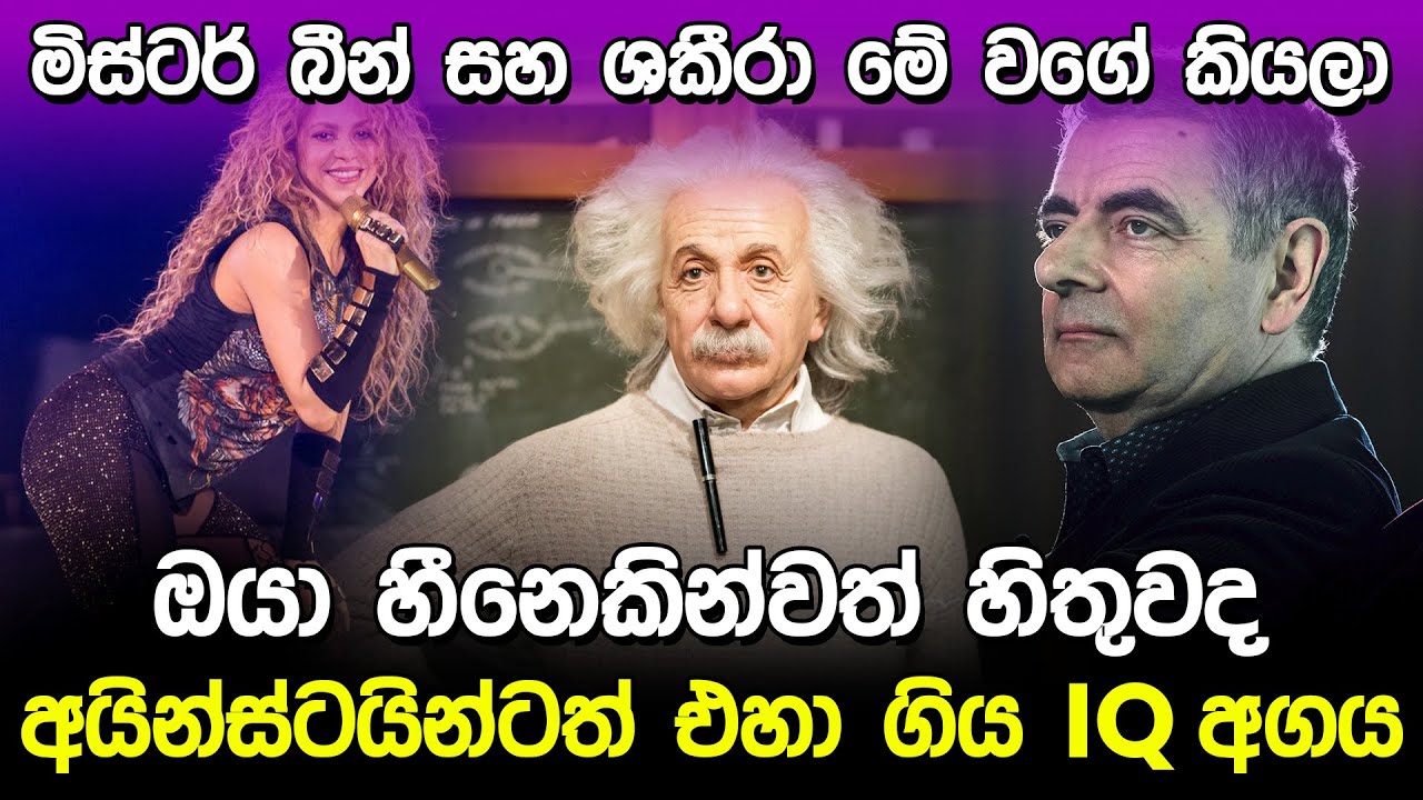 මිස්ටර් බීන් මේ වගේ කියලා හීනෙකින්වත් හිතුවද? | World Best IQ Level  Sinhala |