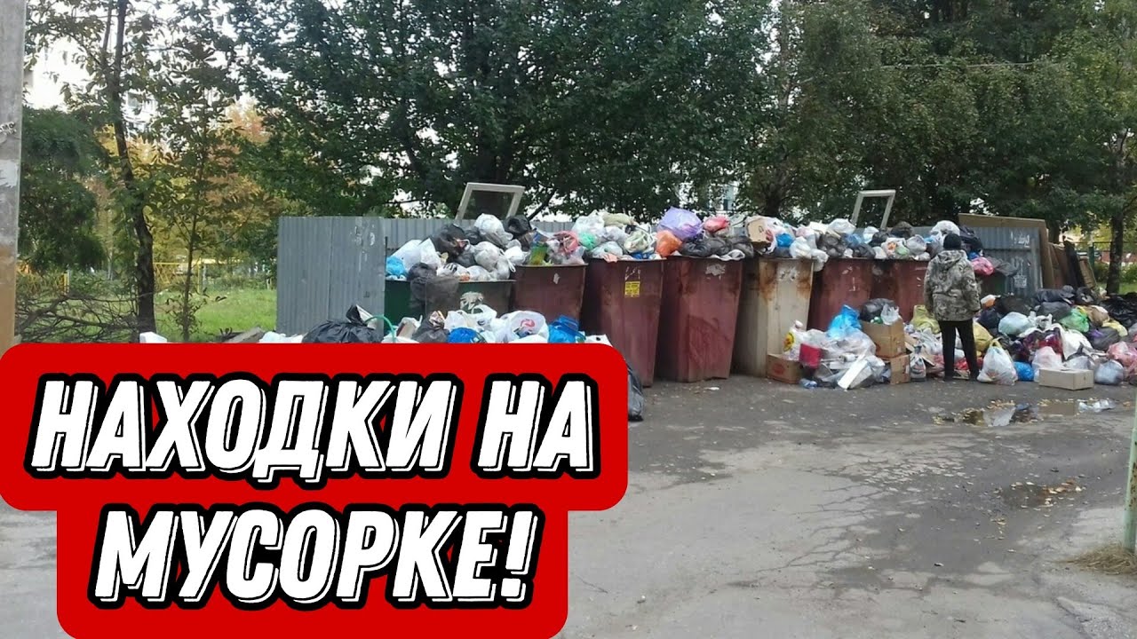 Что можно найти на мусорках Санкт-Петербурга? Ценные находки на мусорке!
