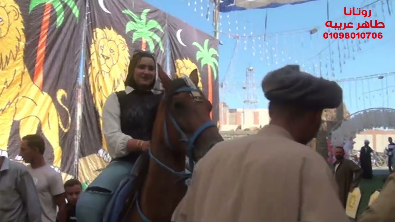 دكتورة شهد وافراح بلدنا مع فيديو روتانا طاهر عريبة 01098010706