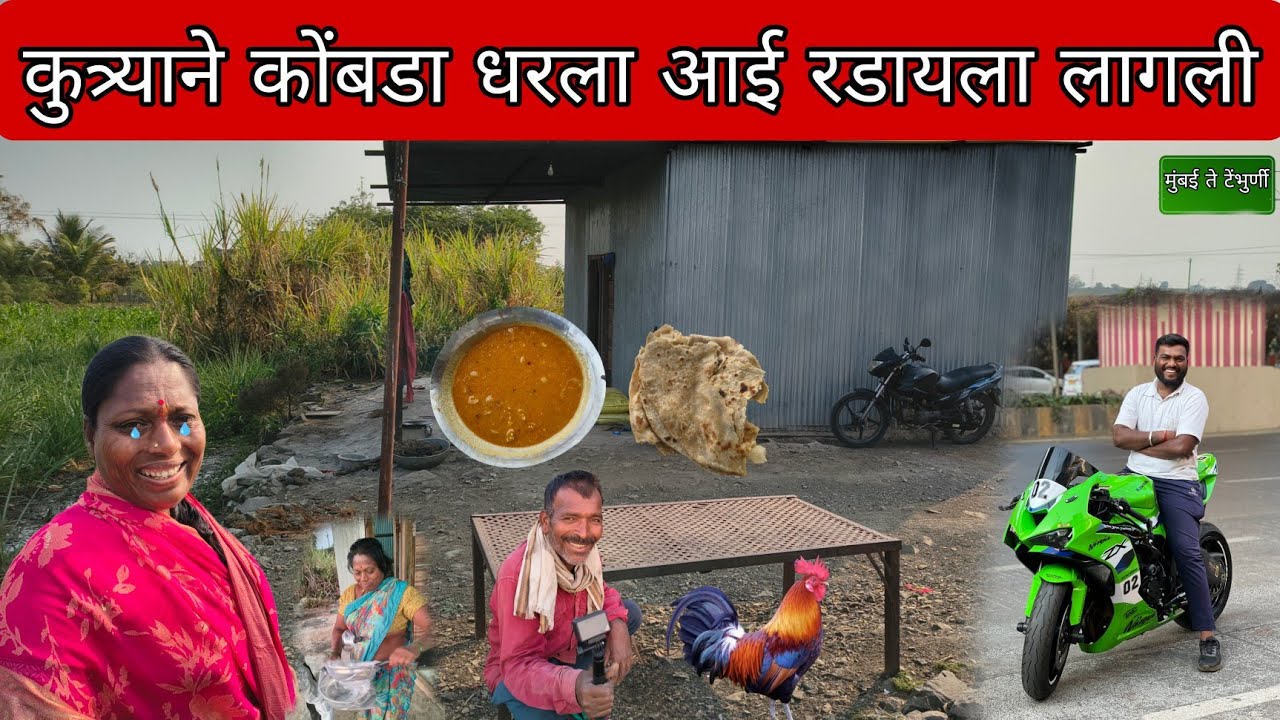 कुत्र्याने कोंबडा धरला आई रडायला लागली 😭 #mh45rider 