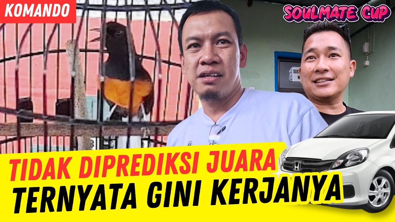 TAK DIPREDIKSI JUARA KELAS UTAMA ‼️ MURAI BATU KOMANDO di Soulmate Cup Prasasti