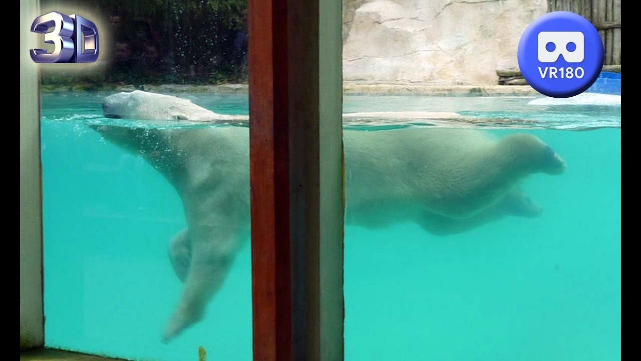 Zoo Amneville part 2 VR180 3D 20 Aout 2023