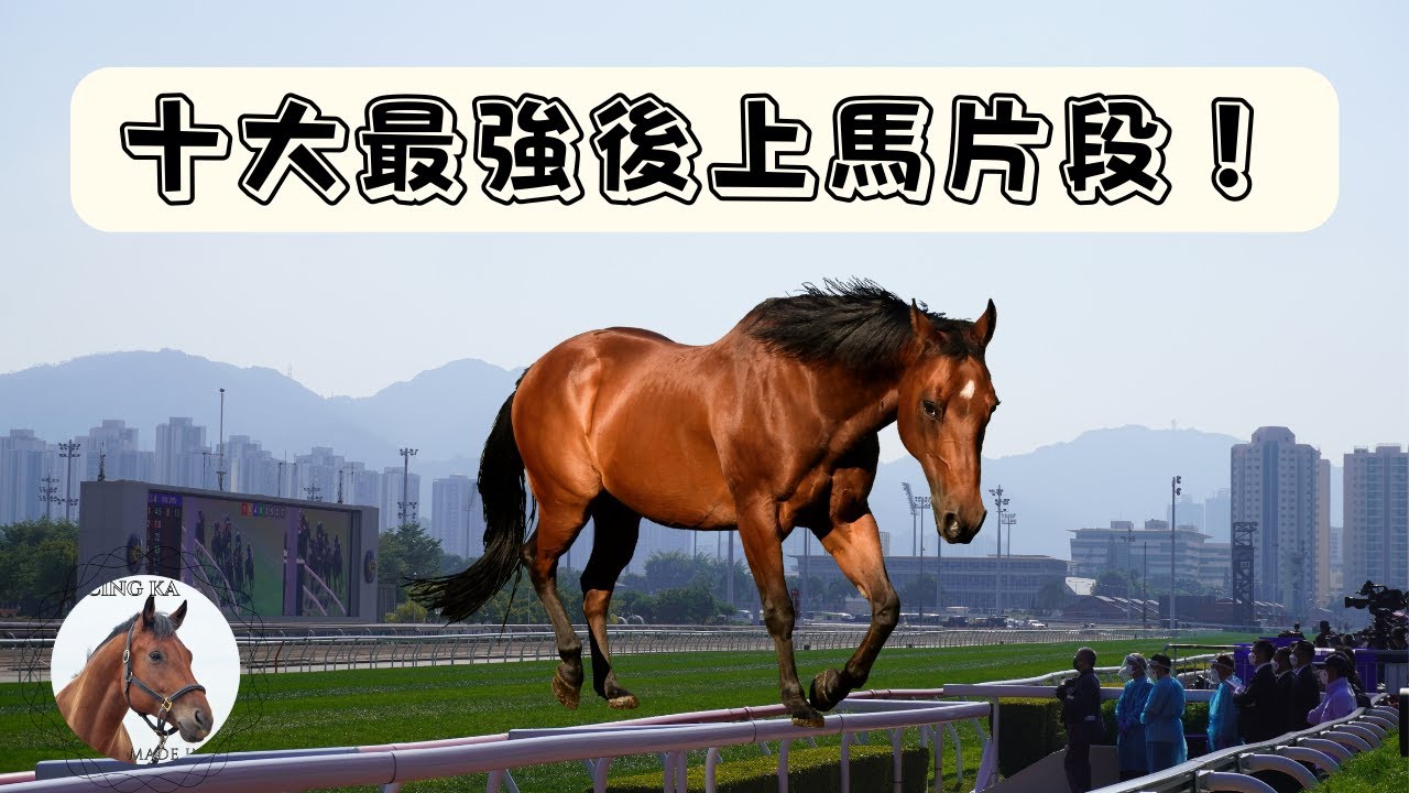 今季十大後上馬！最後一名當之無愧！｜香港賽馬