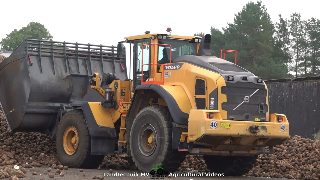 Volvo L180H / Rübenverladung - Loading Beets  2021