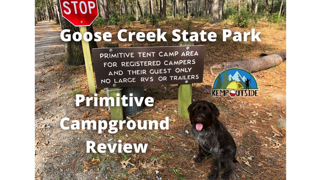Goose Creek State Park Primitive Campground Review | Camping on the Pamlico River in North Carolina