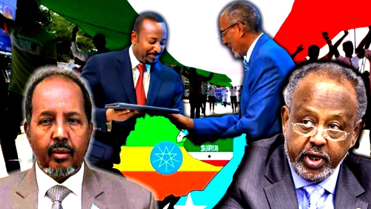 Jabuuti Oo Durba Dhadhamisay Midhaha Cadaawadda Somaliland iyo Shirqool Xasan Sheekh U Dhigay