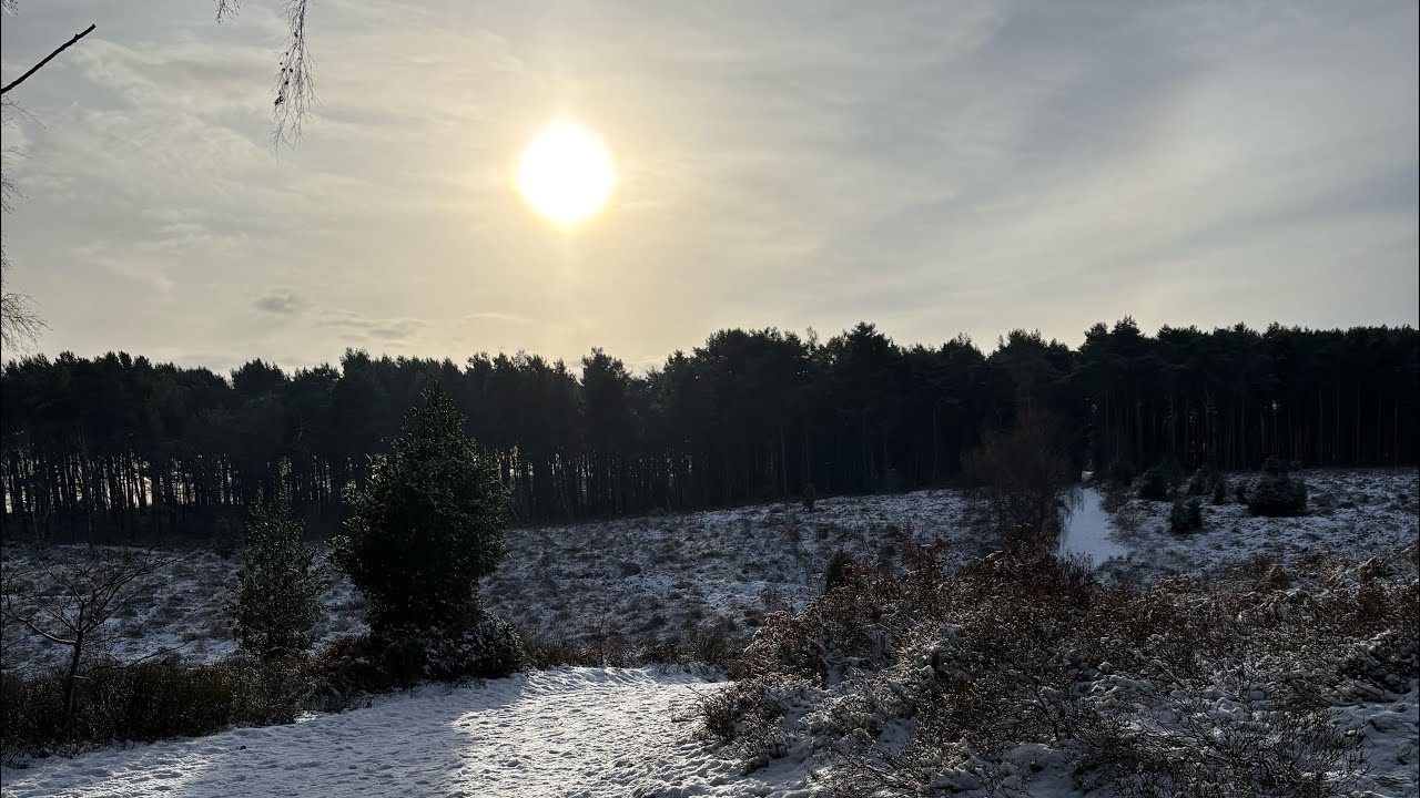 A little walk up Cannock Chase 06/01/2026. #cannockchase #snow #beautiful 
