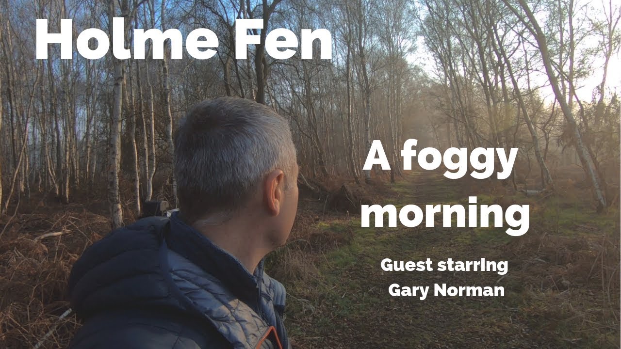 Holme Fen in the Fog - a return visit : Landscape Photography