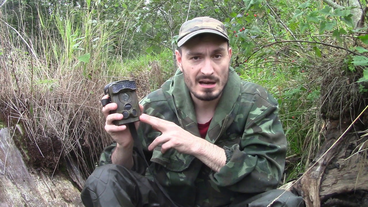 Фото видео ловушка (лесная камера) мой обзор. Камера на бобра!