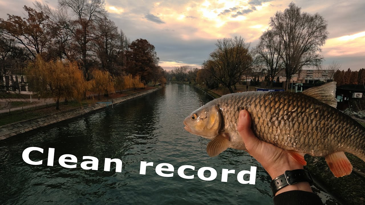 🎣🍂 CAPTURĂ RECORD - Pescuit ultralight în mijlocul orașului la început de Decembrie