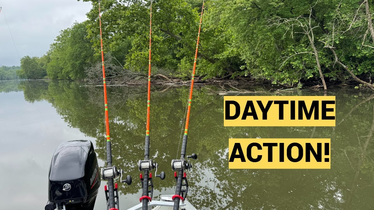 Catching Flatheads During the Day (Strategies and Tips)