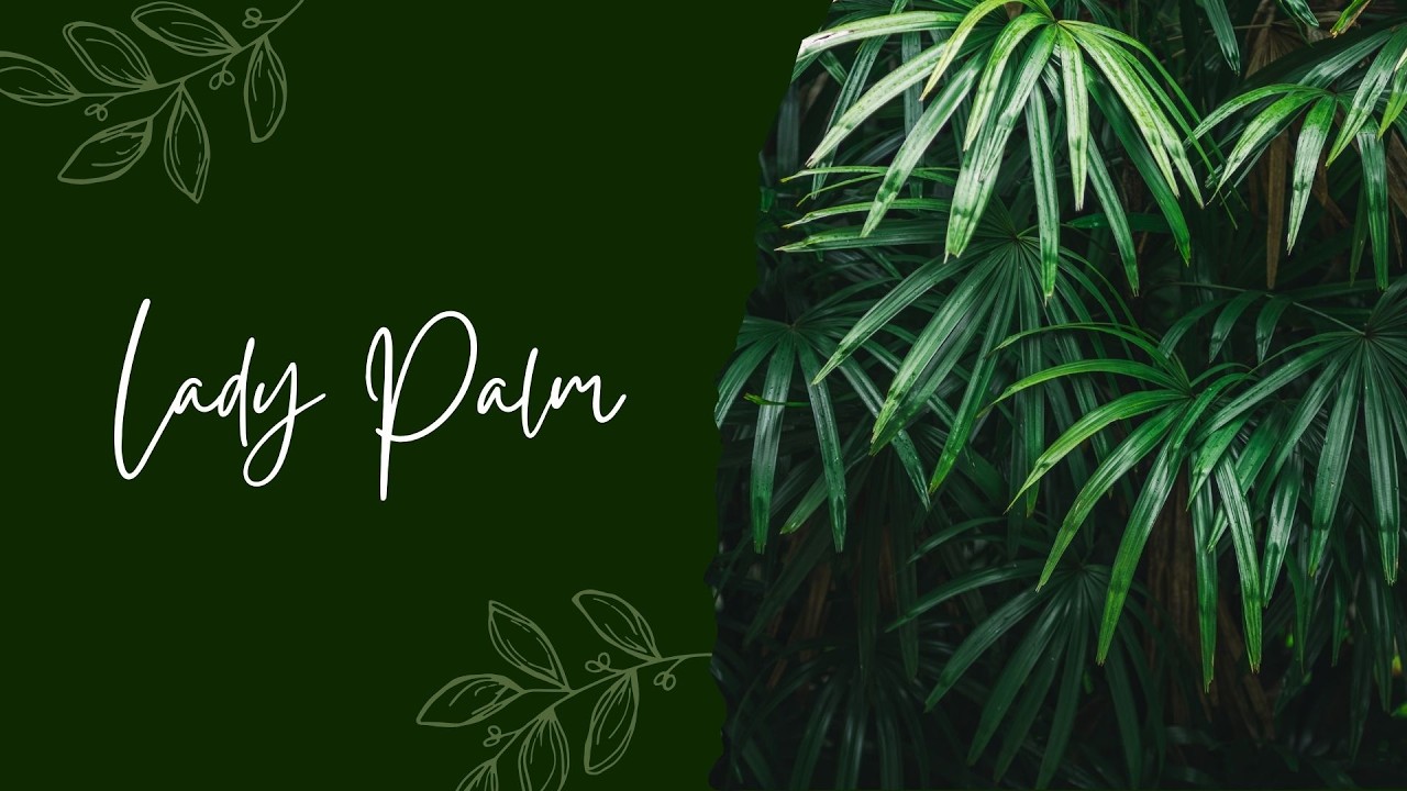 This palm outshines bamboo