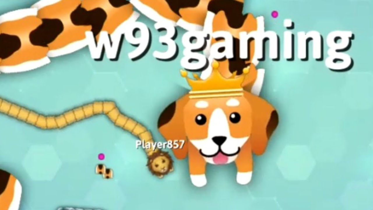 Snake.io | New Event | Skin Beagle | Rắn Săn Mồi | Game Con Giun | Game Con S&acirc;u #69