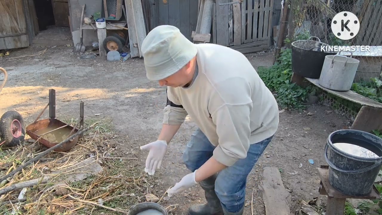 Обробка свині від чистки, кліща