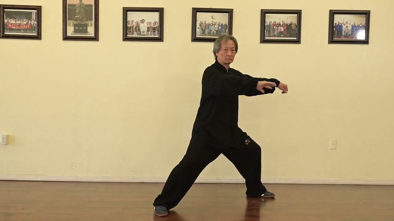 A Lifetime of ChenTaiChi Technique Demo  EP 25