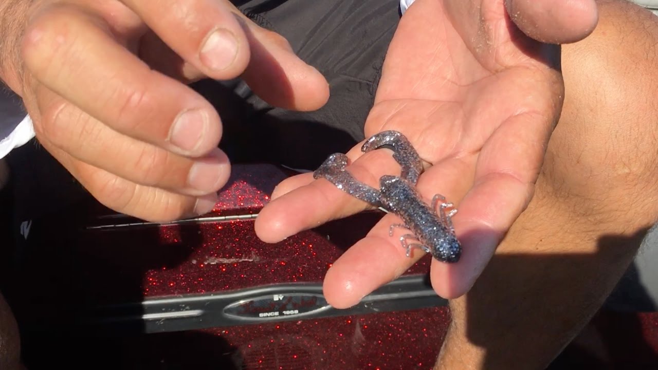 Sight fishing for bass with the YUM Christie Craw