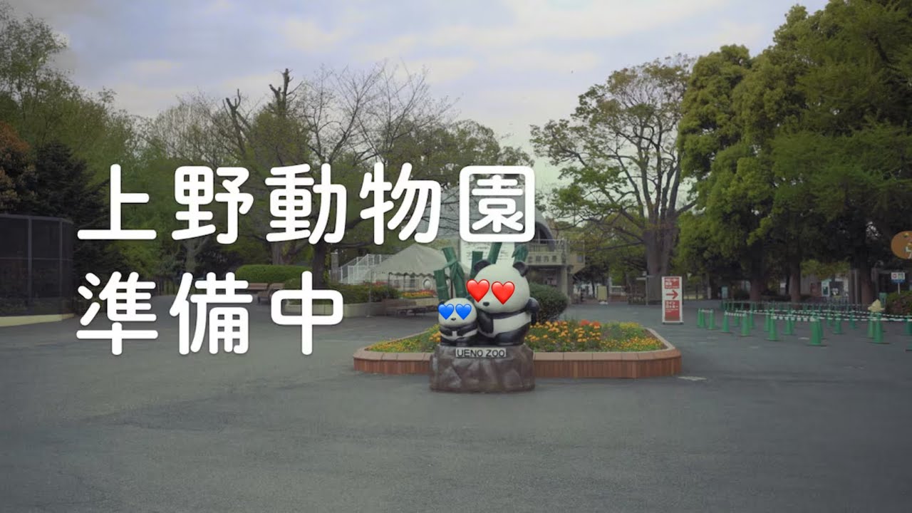 SAENSキン(上野動物園準備中) 【NHK_mania】【0655_mania】【2355_mania】【Ueno Zoo_mania】【Sandwichman_mania】