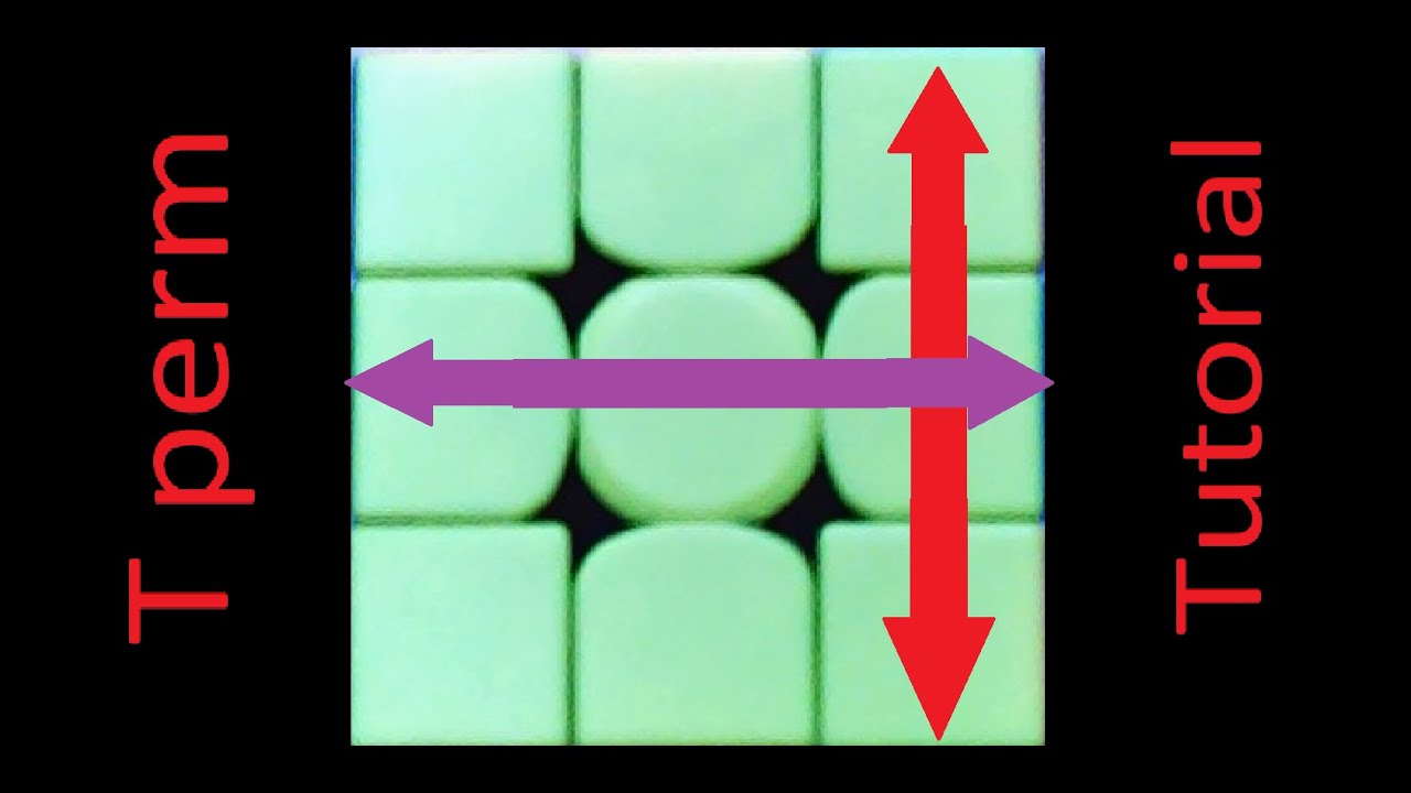 T permutation tutorial