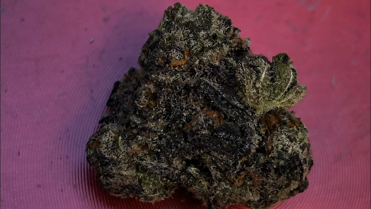 Gush Mintz Strain Review