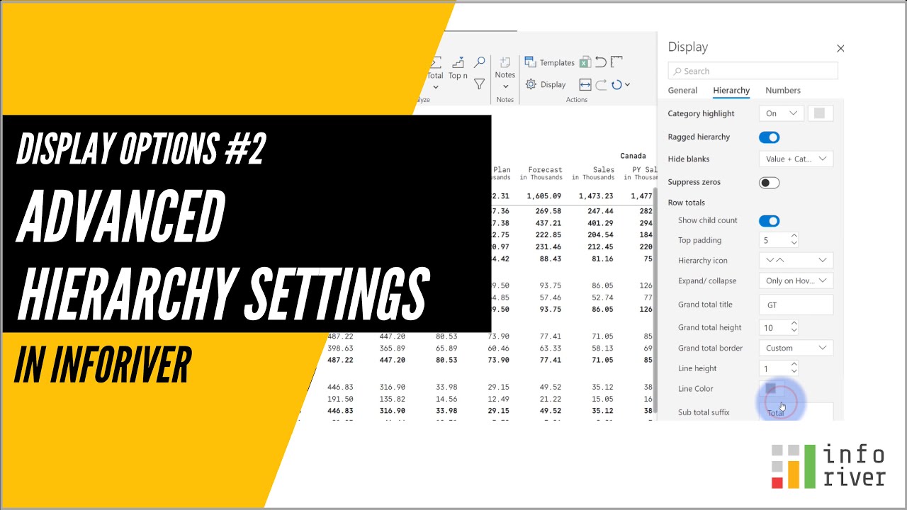 Display Options #2 - Advanced Hierarchy Settings in Inforiver
